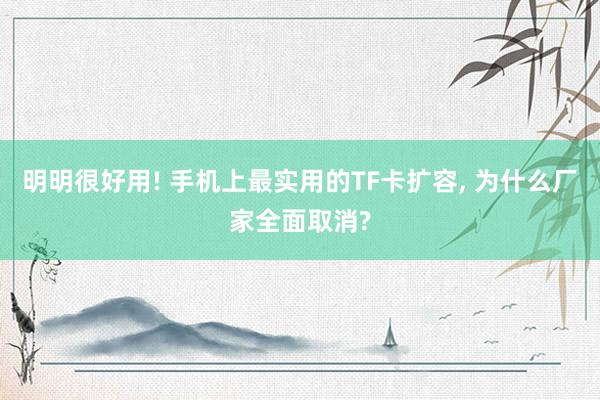 明明很好用! 手机上最实用的TF卡扩容, 为什么厂家全面取消?