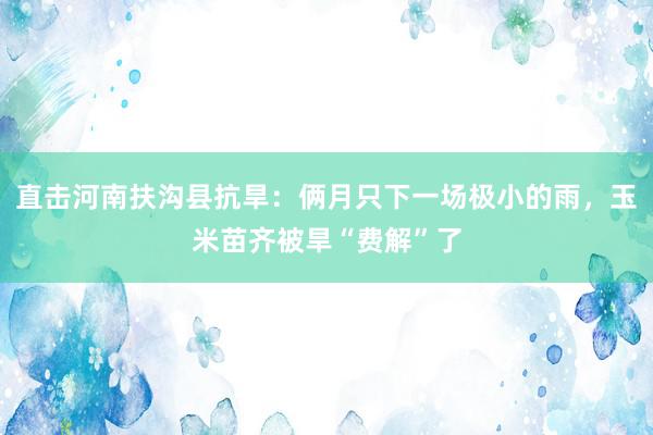 直击河南扶沟县抗旱：俩月只下一场极小的雨，玉米苗齐被旱“费解”了