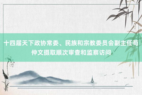 十四届天下政协常委、民族和宗教委员会副主任苟仲文摄取顺次审查和监察访问