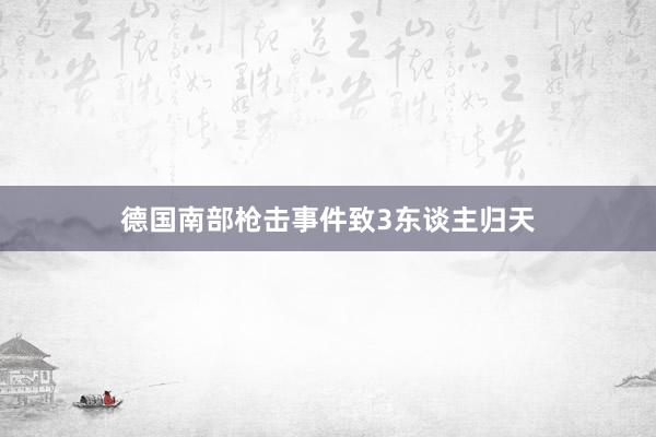 德国南部枪击事件致3东谈主归天