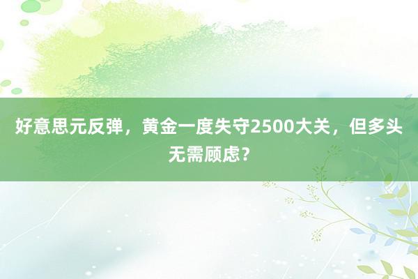 好意思元反弹，黄金一度失守2500大关，但多头无需顾虑？