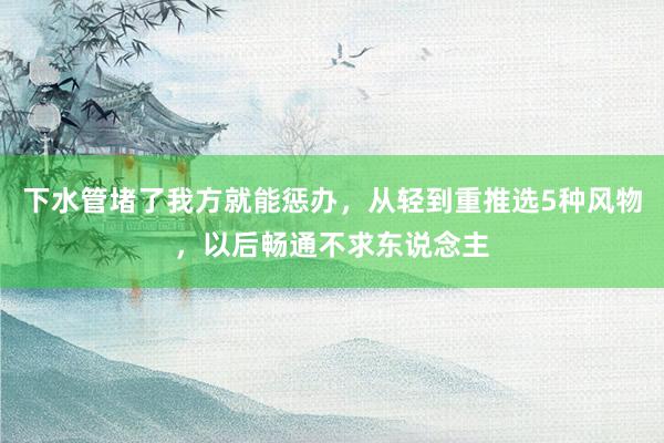 下水管堵了我方就能惩办，从轻到重推选5种风物，以后畅通不求东说念主