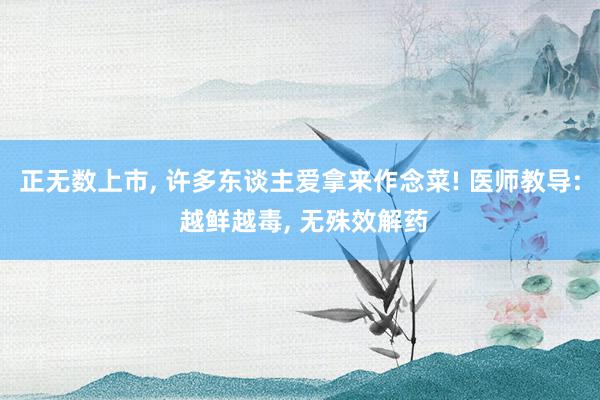 正无数上市, 许多东谈主爱拿来作念菜! 医师教导: 越鲜越毒, 无殊效解药