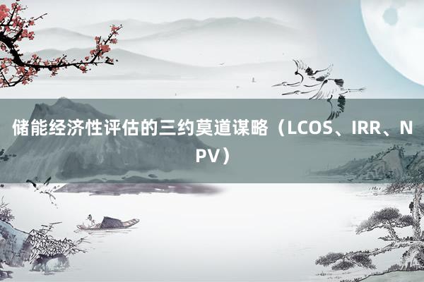 储能经济性评估的三约莫道谋略（LCOS、IRR、NPV）