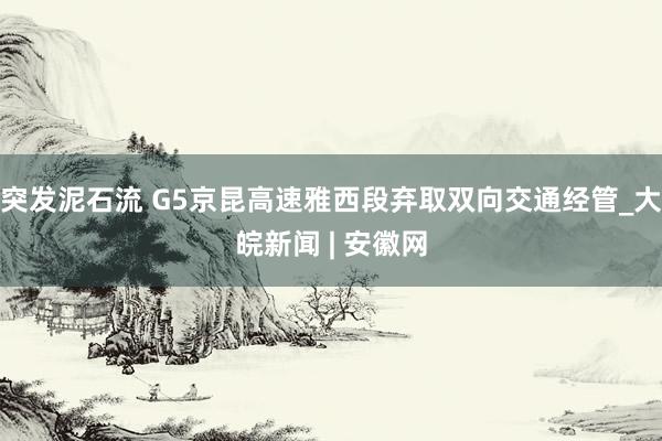 突发泥石流 G5京昆高速雅西段弃取双向交通经管_大皖新闻 | 安徽网