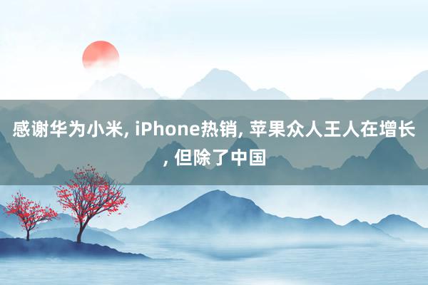 感谢华为小米, iPhone热销, 苹果众人王人在增长, 但除了中国